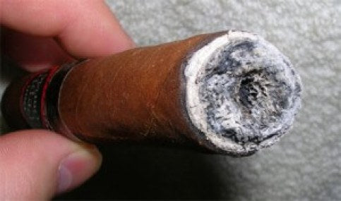 Mouldy cigar